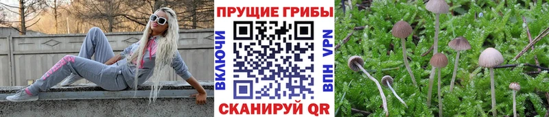 Галлюциногенные грибы MAGIC MUSHROOMS  закладки  mega   Шумерля 